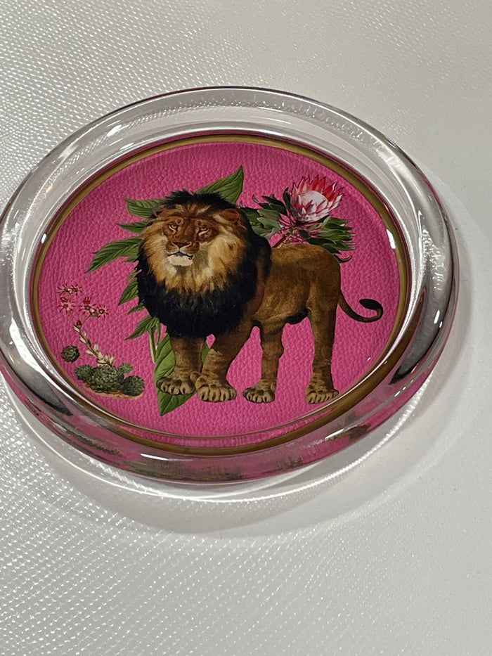 COASTER LION ON PINK AFRICAN OBSESSION 5"