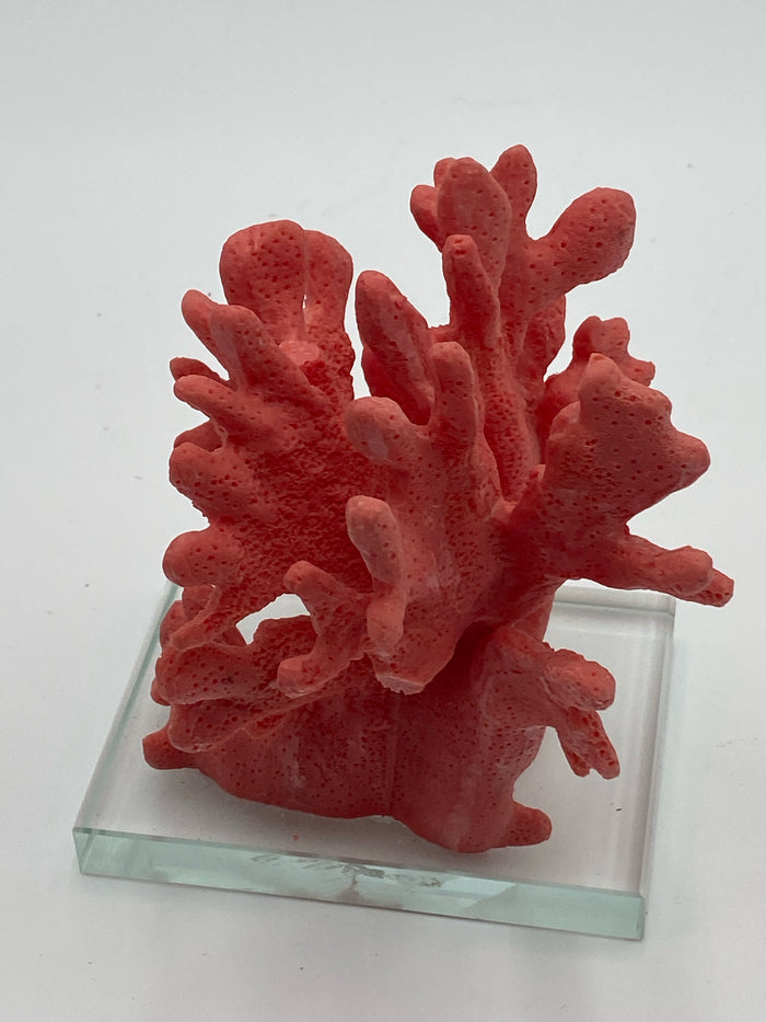 CORAL PINK