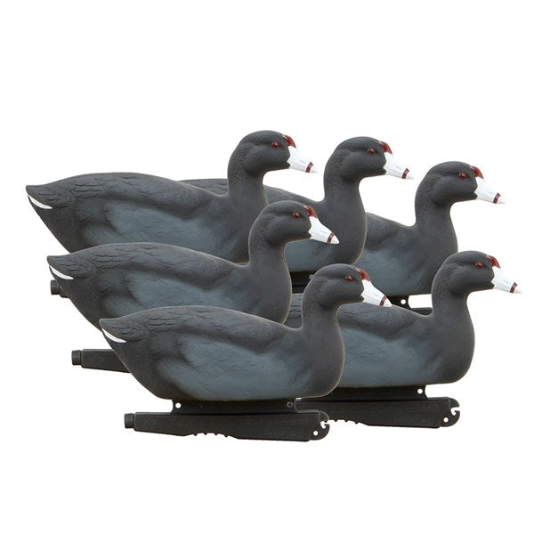 Set of six oversized black coot decoys with white beaks and red eyes, featuring durable 60/40 Dura-Keel designs.