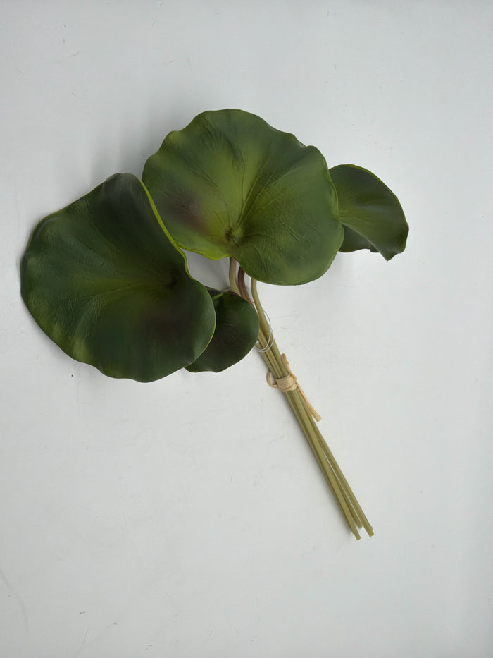 LOTUS LEAF REAL TOUCH BUNDLE