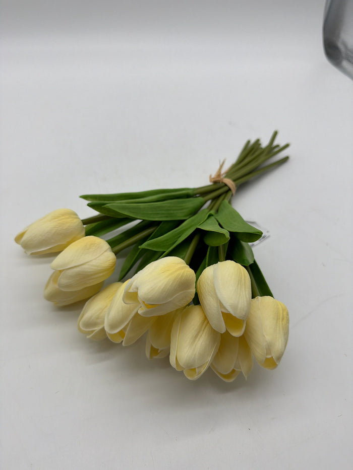 MINI TULIP REAL TOUCH LIGHT PEACH BUNDLE 13"