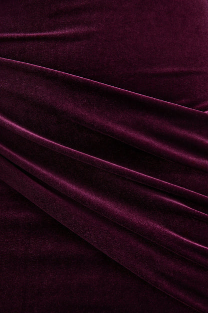 Cambria Plum Velvet High Neck Maxi Dress With Draped Detailing