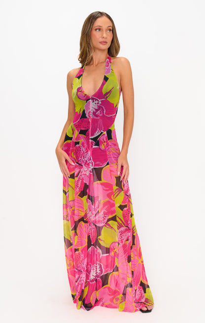 Katia Maxi Dress ~ Tropic Nights Mesh