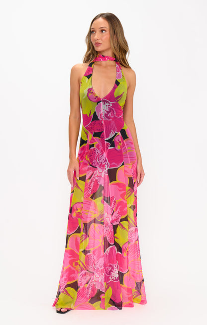 Katia Maxi Dress ~ Tropic Nights Mesh