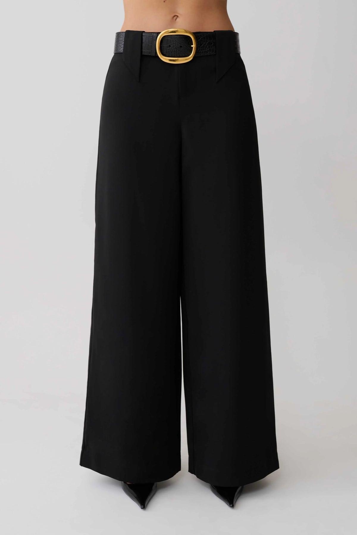 Arlo Wide Leg Suiting Trouser Black
