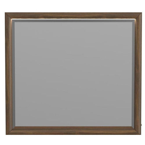 Elements International B167 Brisbane Brown Walnut LED Lighted Mirror
