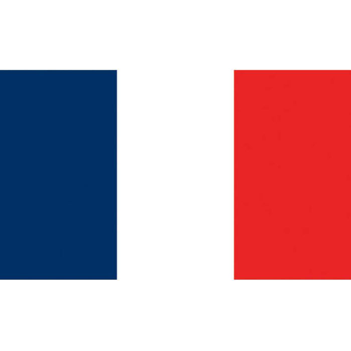 Flag Kite - France
