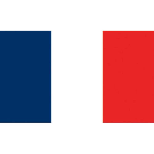 Flag Kite - France