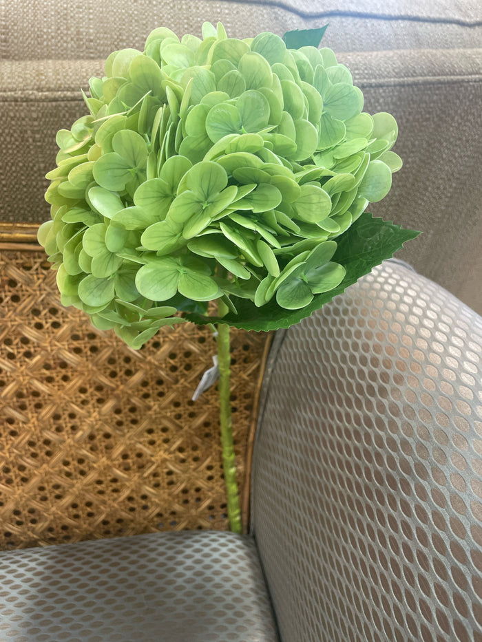 GREEN HYDRANGEA SPRAY 20"