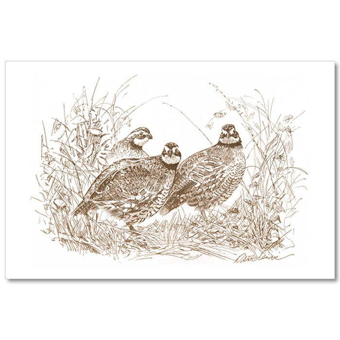 Linen paper placemat featuring a brown ink sketch of Bobwhite Quail by artist Kat McCall on a white background.