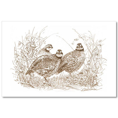 Linen paper placemat featuring a brown ink sketch of Bobwhite Quail by artist Kat McCall on a white background.