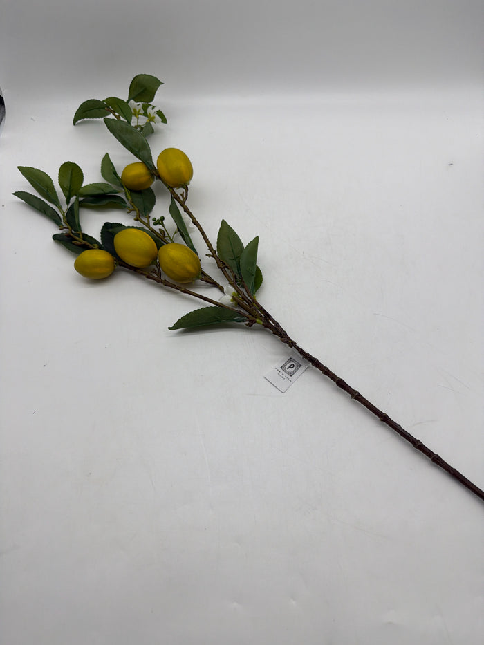 SILK EUREKA LEMON BRANCH