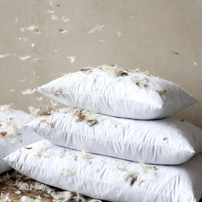 Wide Microfibre Cushion Inner | 33 x 70 jules pansu